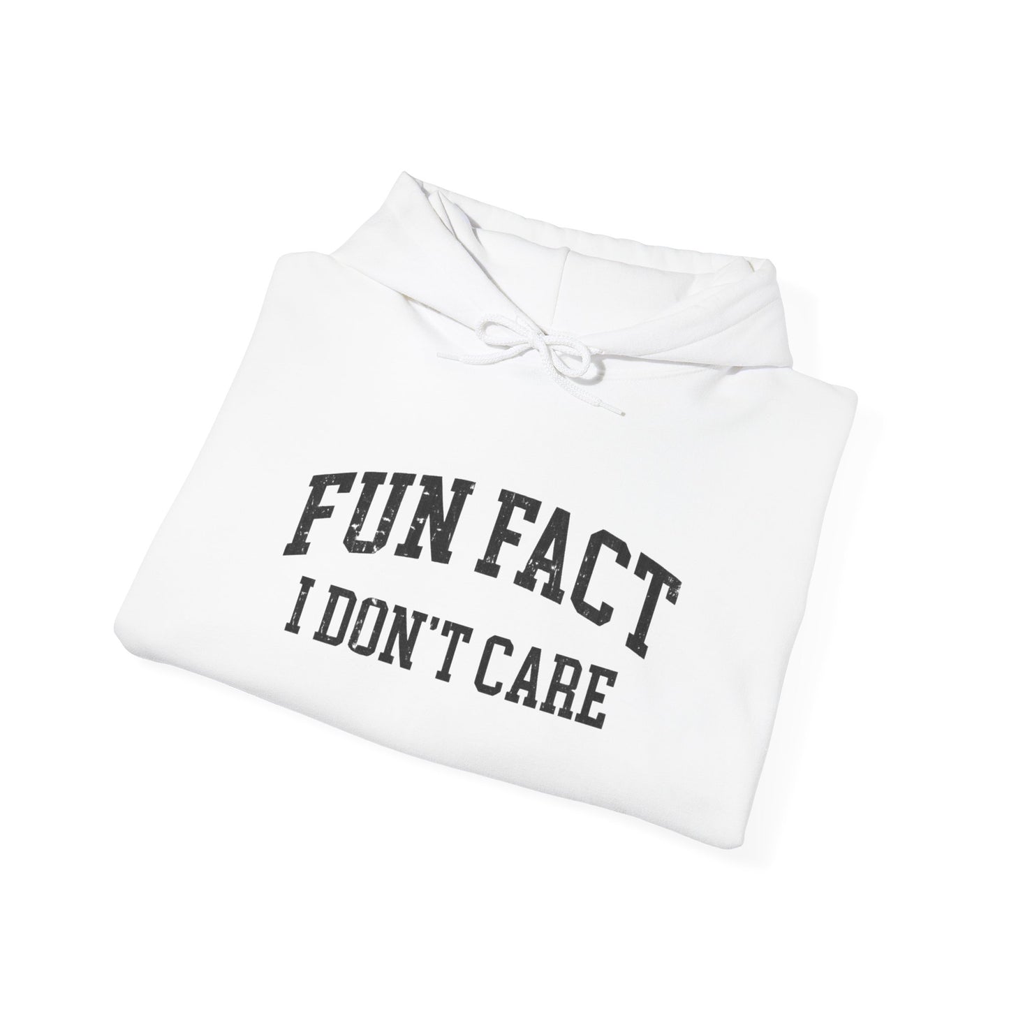 "Fun Fact I Don't Care" Hoodie