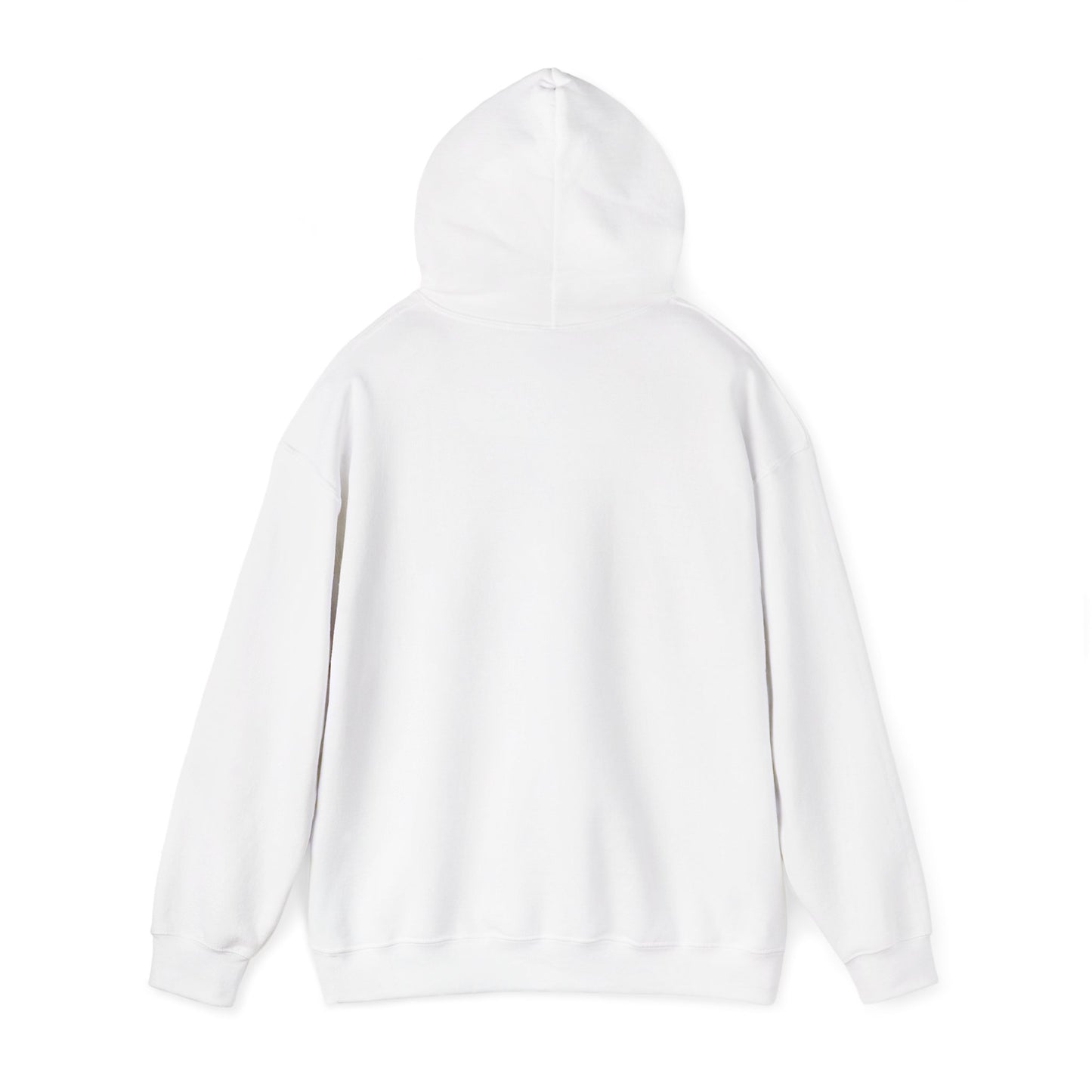 "Fun Fact I Don't Care" Hoodie