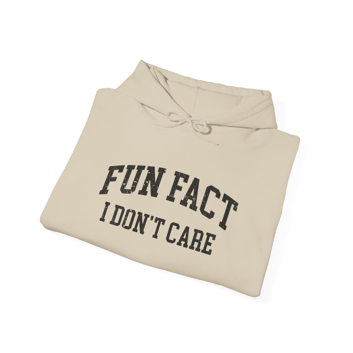 "Fun Fact I Don't Care" Hoodie